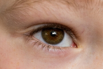 Obraz premium close-up of the boy's eyes the reflection of the window on the eyeball