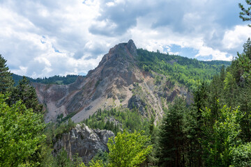 A magnificent mountain adorned with lush trees under a cloudy sky