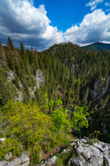 Obraz premium Summer landscape of Cetatile Ponorului in Apuseni Natural Park, Romania, Europe