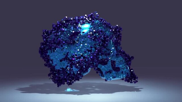 3D roating of a skuls.