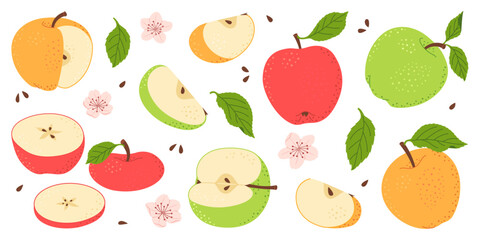 Apple fruit vector set. Whole, half, slice of red green and yellow apple fruit with green leaves and flowers collection. Hand drawn flat style isolated Vector illustration