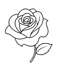 Black Rose illustration line art vector