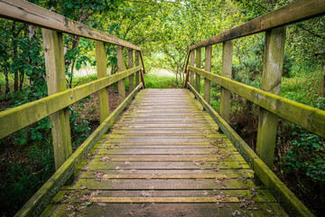 Long depth of field of a wooden footbridge seen spanning a small river on the edge of a forest in Britain. Note the none slip surface.