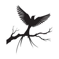 Obraz premium Artful illustrations of silhouette birds perched in nature.