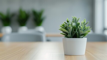 Fototapeta premium A small potted plant on a wooden desk with blurred background, enhancing modern office decor with a touch of green.