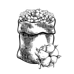 The cotton is organic. A canvas bag with a harvest of ripe cotton. Black and white, detailed, graphic, vector illustration. Isolate, hand-drawn on a white background. For packaging, labels and poster.