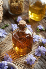 A bottle of herbal tincture with fresh chicory flowers