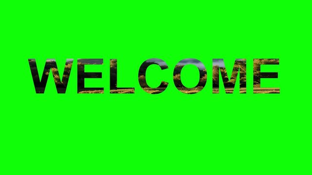 word on green background