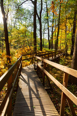 Obraz premium Empty wooden boardwalk in autumn park. Long wooden footbridge over the wetland. Katowice, Silesia, Poland