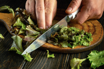 A cook cuts cos lettuce leaves with a knife. Preparing a vegetarian dish on the kitchen counter before dinner.