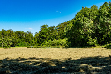 Frisch gemähte große Wiese