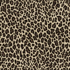 animal leopard pattern wool texture modern background