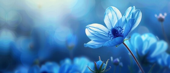 spring blue flower background close illustration bloom floral, petal natural, colorful beauty...