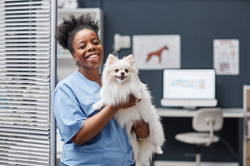 Medium shot portrait of trustworthy female vet expert of Black ethnicity smiling looking at camera holding happy white pomeranian dog after vaccination in vet clinic, copy space