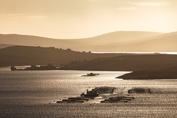 Fish farms and rocky coast at sunset, elevated view, Lunna Kirk, East Lunna Voe, Lunna Ness, United...