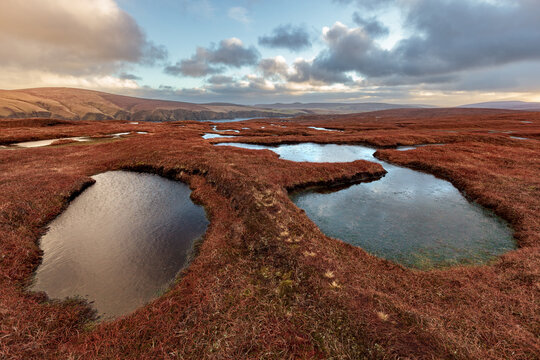 Hermaness National Nature Reserve, Unst Island, Shetland Islands, Scotland, golden hour over moorland and sky reflection on ponds in peat