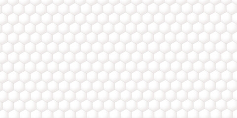 Abstract white background with hexagons. Abstract hexagon polygonal pattern background vector. seamless bright white Pattern with hexagons illustration of a honeycomb. Futuristic surface .