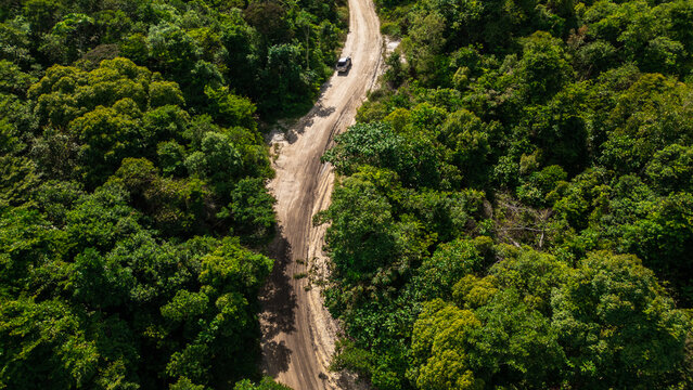 roads in the middle of the Amazon jungle, deforestation and sand extraction for construction is one of the main activities where large hectares of forest are deforested