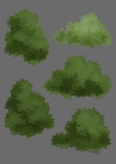 trees and bushes of different shapes and sizes