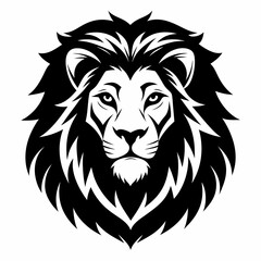Fototapeta premium lion head illustration, lion head vector