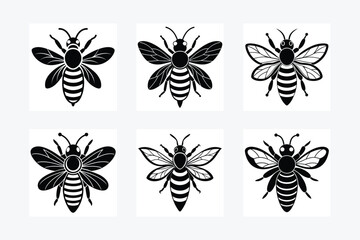 Bee, honey bee isolated on a white background. Naturalistic, scientific, botanical engraved illustration, vector drawing,