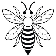 Bee, honey bee isolated on a white background. Naturalistic, scientific, botanical engraved illustration, vector drawing,