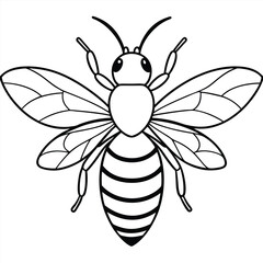 Bee, honey bee isolated on a white background. Naturalistic, scientific, botanical engraved illustration, vector drawing,