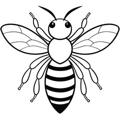 Bee, honey bee isolated on a white background. Naturalistic, scientific, botanical engraved illustration, vector drawing,