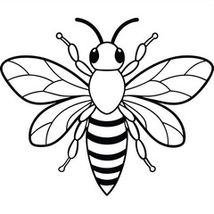 Bee, honey bee isolated on a white background. Naturalistic, scientific, botanical engraved illustration, vector drawing,