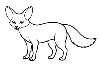 A fennec fox vector art line illustration with a great level of detail