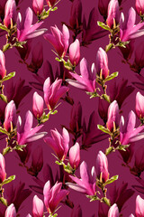 Obraz premium Floral romantic collage with magnolia flower on a pink background. Spring or summer holiday background