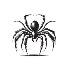 spider silhouette tattoo,spider silhouette images ,spider silhouette clipart ,spider silhouette png