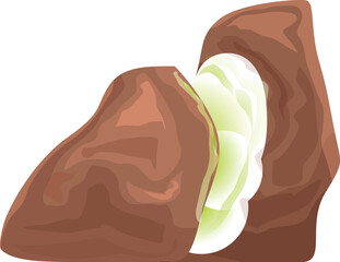 Brown bean showing green inside on white background