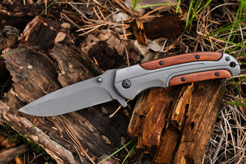 Hunting knife in forest against background bark pine tree.