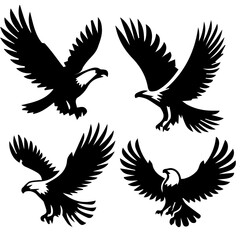 Eagle  Soaring isolated on white background