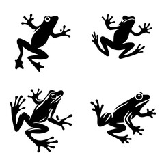 Frog  Leaping isolated on white background