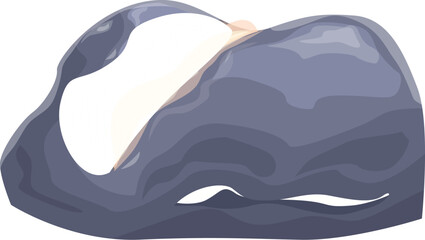 Whale swimming in the ocean showing its white underbelly while coming up for air