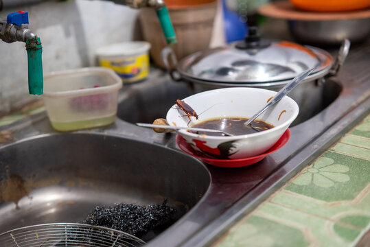 A cockroach wants to eat leftover food in a bowl