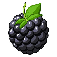 blackberry with leaf
