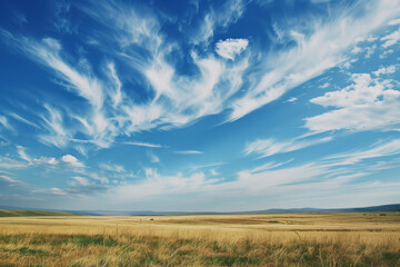 Blue sky over golden fields