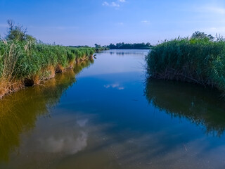 View of the backwater in South Hungary
