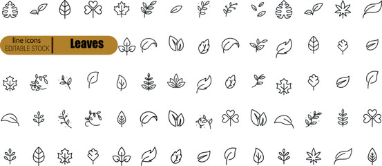 Leaves thin line icon set. Symbol collection in transparent background. Editable vector stroke.