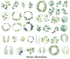 Exotic plants leaf set on an isolated transparent background, watercolor vector illustration. Wedding frame elements collection. Elegant foliage design for wedding, card, invitation, greeting, banner.