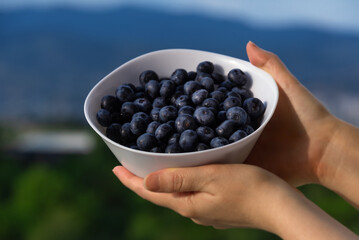Fresh sweet aromatic berries in a white bowl in female hands. Selective focus. Harvest of berries and fruits.