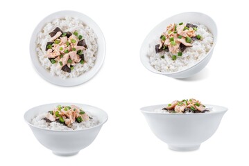 Rice bowl with salmon flakes, nori and scallion on a white isolated background