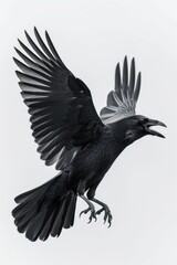 Fototapeta premium Flying Black Crow with Spread Wings. Generative ai
