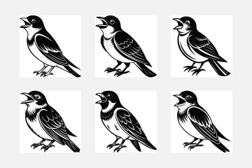 set of birds