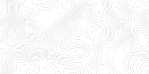 Topographic background and texture with black lines, black and white wavy topography map abstract background with geometric lines, White wave paper curved reliefs abstract topographic contour map.