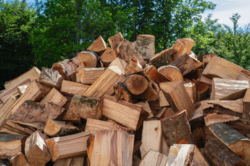 A stack of logs beside trees In the background.