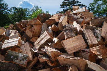 There is a pile of logs with trees in the background